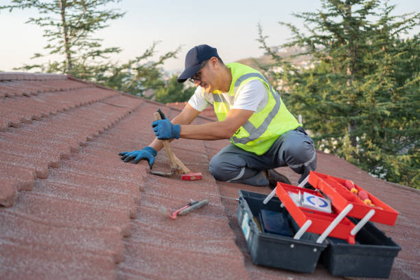 Best Flat Roof Repair Services  in Gladeview, FL
