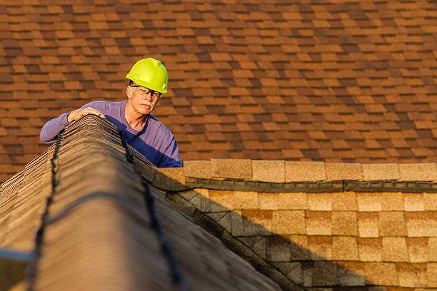 Best Storm Damage Roof Repair  in Gladeview, FL